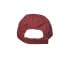 The Paradigm Dad Hat Red Back